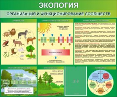 Стенд "Экология. Организация и функционирование сообществ" - fgospostavki.ru - Радужный