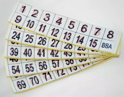 Фишки для игры «Бинго» со шрифтом Брайля - fgospostavki.ru - Радужный