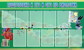 Стенд "Подготовка к ЕГЭ и ОГЭ по биологии" Вариант 2 - fgospostavki.ru - Радужный