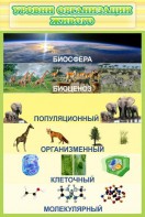 Стенд "Уровни организации живого" - fgospostavki.ru - Радужный